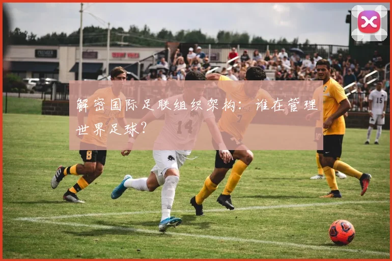 解密国际足联组织架构:谁在管理世界足球?